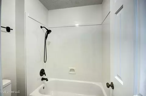 Bath - 215 Edinburgh Ct, Brandon, MS 39047 photo 7 of 7