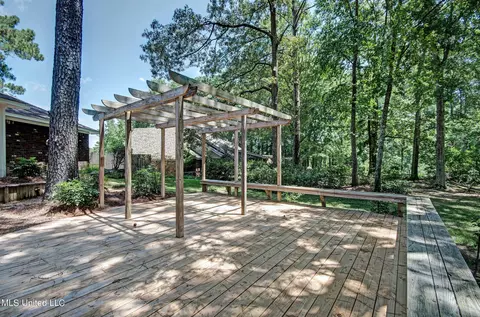 Exterior - 215 Edinburgh Ct, Brandon, MS 39047 photo 7 of 14