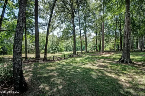 Exterior - 215 Edinburgh Ct, Brandon, MS 39047 photo 11 of 14