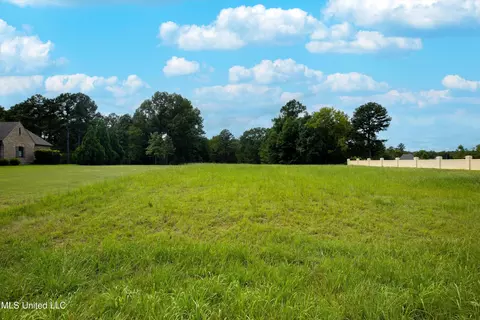 5959 Ginners Ln, Hernando, MS 38632 photo 11