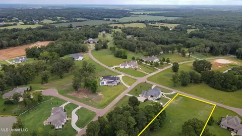5959 Ginners Ln, Hernando, MS 38632 photo 5