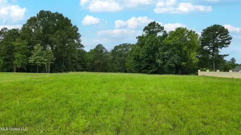 5959 Ginners Ln, Hernando, MS 38632 photo 2