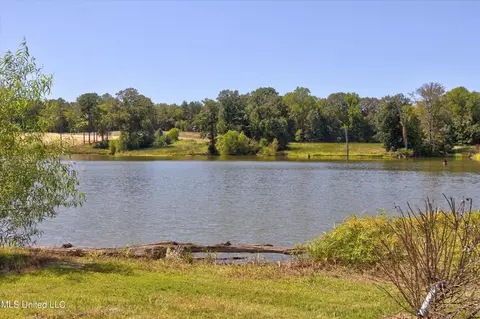 5959 Ginners Ln, Hernando, MS 38632 photo 12