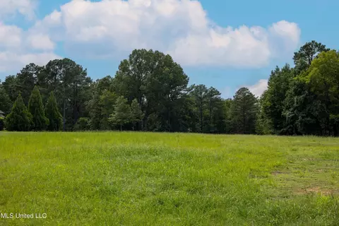 5959 Ginners Ln, Hernando, MS 38632 photo 10