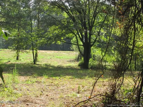 Thornton Road Road, Brandon, MS 39042