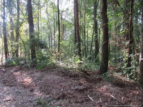 Thornton Road Road, Brandon, MS 39042 photo 9