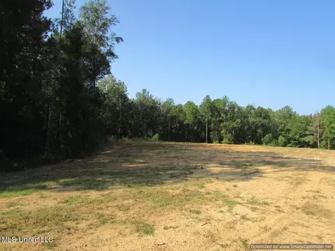 Thornton Road Road, Brandon, MS 39042 photo 6