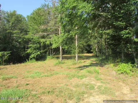 Thornton Road Road, Brandon, MS 39042 photo 8