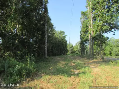 Thornton Road Road, Brandon, MS 39042 photo 5