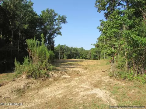 Thornton Road Road, Brandon, MS 39042 photo 3