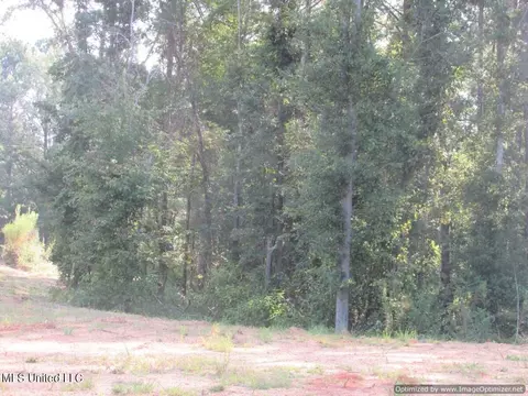 Thornton Road Road, Brandon, MS 39042 photo 12
