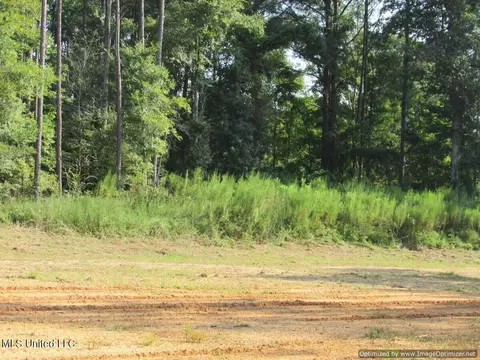 Thornton Road Road, Brandon, MS 39042 photo 13