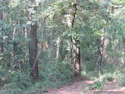 Thornton Road Road, Brandon, MS 39042 photo 11