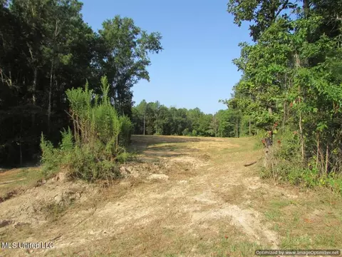 Thornton Road Road, Brandon, MS 39042 photo 4