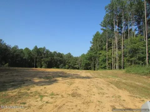 Thornton Road Road, Brandon, MS 39042 photo 7