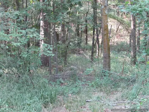 Thornton Road Road, Brandon, MS 39042 photo 10