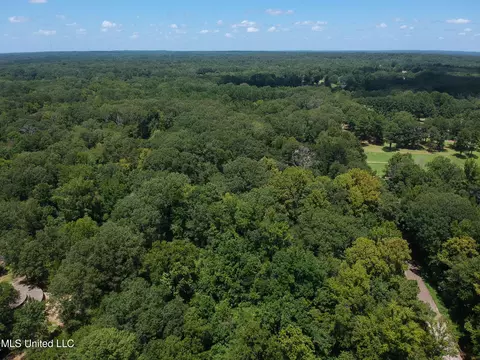 View/Area - 1879 Flowers Rd, Terry, MS 39170 photo 4 of 4