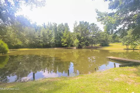 View/Area - 1879 Flowers Rd, Terry, MS 39170 photo 1 of 4
