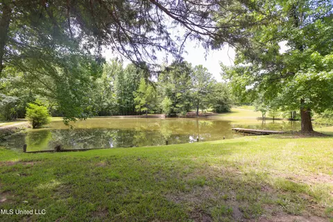 View/Area - 1879 Flowers Rd, Terry, MS 39170 photo 2 of 4