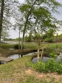 109 Fox Hollow Bnd, Brandon, MS 39047 photo 51