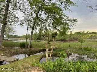 109 Fox Hollow Bnd, Brandon, MS 39047 photo 52