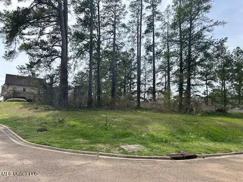 Eastparke Cove, Jackson, MS 39211 photo 2