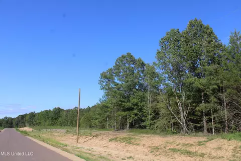 8420 Milne Way, Hernando, MS 38632 photo 17