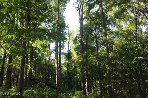 8420 Milne Way, Hernando, MS 38632 photo 13