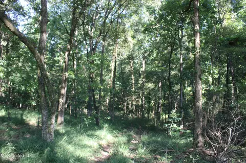 8420 Milne Way, Hernando, MS 38632 photo 20