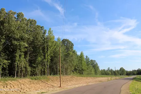 8420 Milne Way, Hernando, MS 38632 photo 16