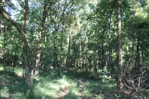 8420 Milne Way, Hernando, MS 38632 photo 3