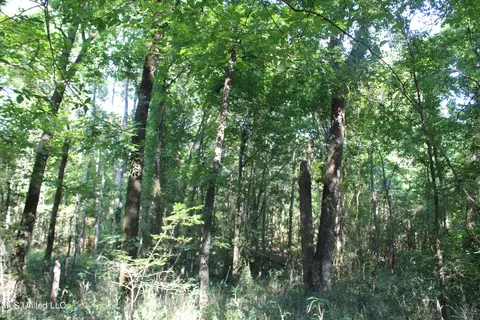 8420 Milne Way, Hernando, MS 38632 photo 8