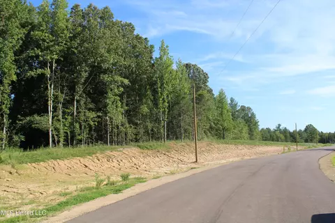8420 Milne Way, Hernando, MS 38632 photo 2
