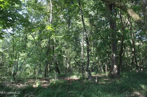 8420 Milne Way, Hernando, MS 38632 photo 21