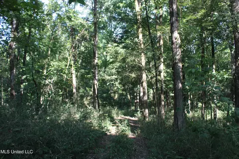 8420 Milne Way, Hernando, MS 38632 photo 5