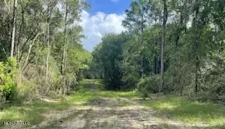 Tanner Williams Rd -parcel 1, Lucedale, MS 39452 photo 4