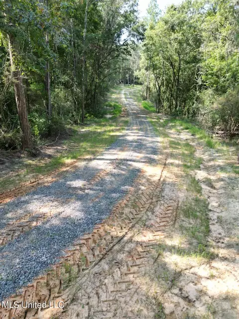 Tanner Williams Rd -parcel 1, Lucedale, MS 39452 photo 8