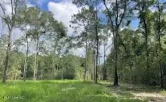 Tanner Williams Rd -parcel 1, Lucedale, MS 39452 photo 3
