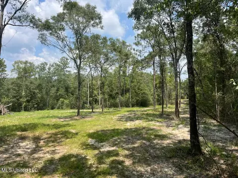 Tanner Williams Rd -parcel 1, Lucedale, MS 39452 photo 9