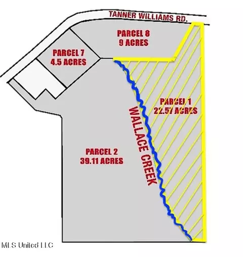 Tanner Williams Rd -parcel 1, Lucedale, MS 39452