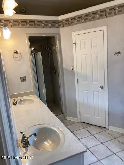 3424 Windermere Rd, Nesbit, MS 38651 photo 14