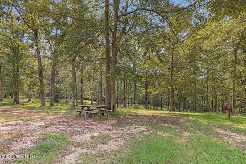 485 Riceville Rd, Mchenry, MS 39561 photo 34