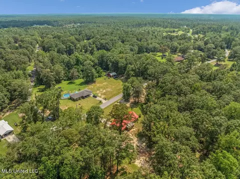 485 Riceville Rd, Mchenry, MS 39561 photo 7