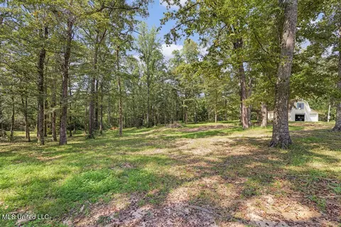 485 Riceville Rd, Mchenry, MS 39561 photo 33
