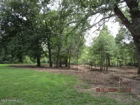 887 Independence Rd, Coldwater, MS 38618 photo 31