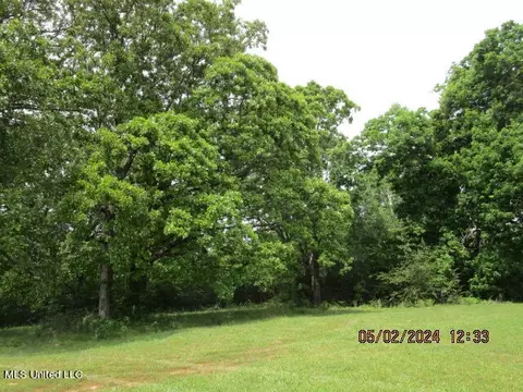 887 Independence Rd, Coldwater, MS 38618 photo 26