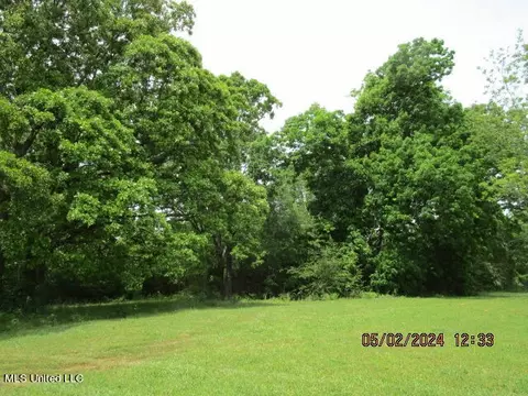 887 Independence Rd, Coldwater, MS 38618 photo 25