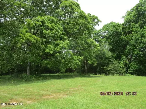 887 Independence Rd, Coldwater, MS 38618 photo 24
