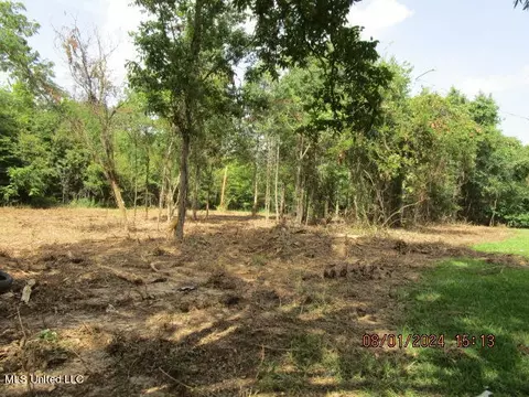 887 Independence Rd, Coldwater, MS 38618 photo 28