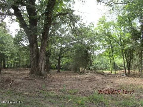 887 Independence Rd, Coldwater, MS 38618 photo 30
